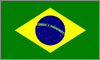 Curs Valutar Ralul Brazilian